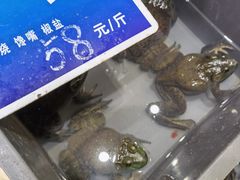 -双井轩(双井店)