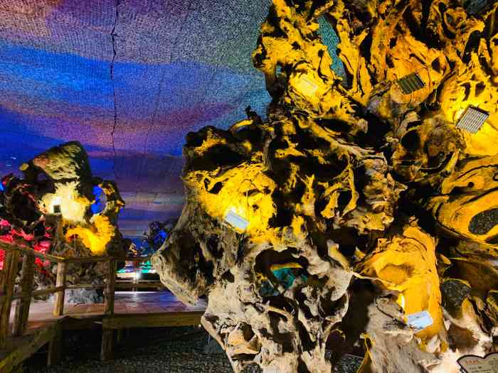 杜鹃王古木博览园-"腾冲有个奇特的博物馆,专门展出一些超级巨.