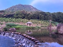 -广州市石门国家森林公园