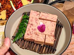 -朱光玉火锅馆(龙阳广场店)