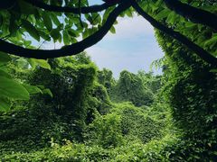 -吴山景区