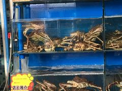 -蚝专家(北滘店)