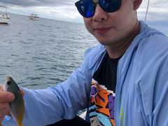 -小猫钓鱼海钓俱乐部(椰梦长廊店)