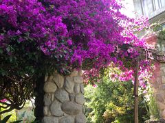 -明月山庄私房菜(环海东路店)