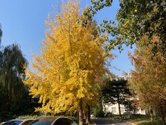 -国家植物园南园