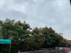 -洛阳周王城天子驾六博物馆