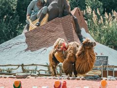 -彩色沙林风景区