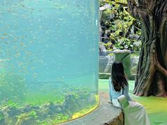 -海合安成都极地海洋公园