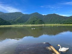 -大九湖