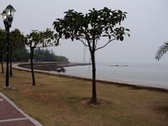 -野狸岛