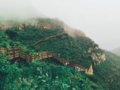 -黄花溪