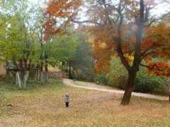 android_upload_pic-八大关景区