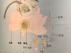 -深圳博物馆(古代艺术馆)