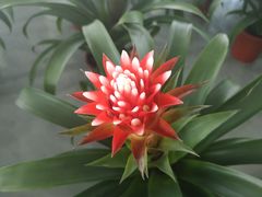 -南通洲际绿博园