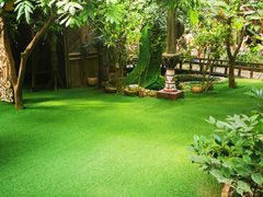 -呀路古热带植物园