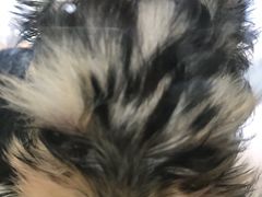 -乐宠宠物店(世纪金源店)