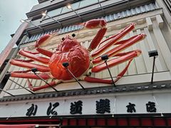 -蟹道乐(道顿堀本店)