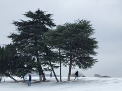 -钟山体育运动公园
