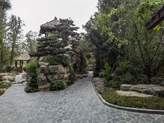 -东平国家森林公园