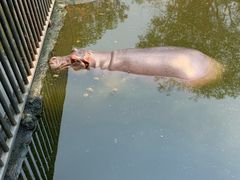 -海南热带野生动植物园