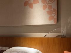 -九华山聚龙大酒店