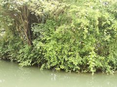 -乌镇景区