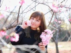 -天适樱花悠乐园