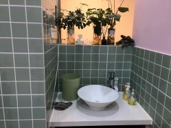 -Moni星球萌宠·小马宝莉·灵蛇·高端高阶全萌宠互动体验俱乐部(红豆国际广场店)