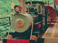 -上海共青森林公园