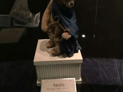 -济州岛泰迪熊博物馆