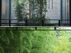 -望江楼公园