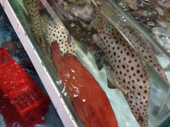 鲤鱼门海鲜街-鲤鱼门海鲜街
