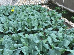 -上海多利农业发展有限公司