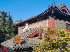 -百脉泉景区
