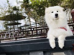 -太阳岛度假酒店