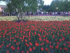 -长春公园(普阳街道)