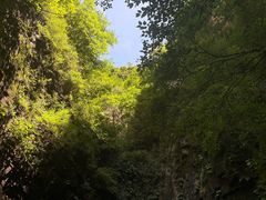 -藏山旅游风景区
