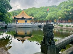 -普陀山雷迪森庄园