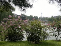 景观位-钓鱼台国宾馆