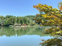-四明山国家森林公园