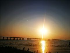 -宝安西湾红树林湿地公园