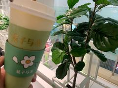 牛油果乳酪茶-叶子与茶(苏宁广场店)