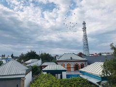 -伊犁河风景区