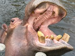 -南京金牛湖风景区