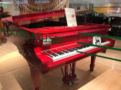 -柏斯音乐艺术中心·钢琴·吉他(世纪金源店)