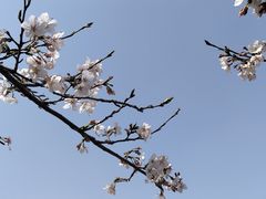 -西北湖绿化广场