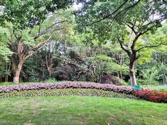 -上海吴淞炮台湾国家湿地公园