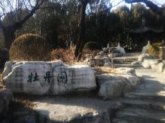 -北京植物园-展览温室