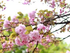 -贵阳市花溪国家城市湿地公园