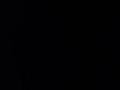 -顺德渔村·岭南一号